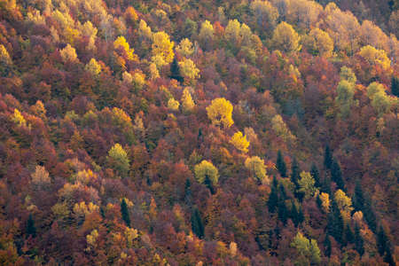 Autumn colors in the Caucasus Mountains in Georgia, Caucasusの写真素材