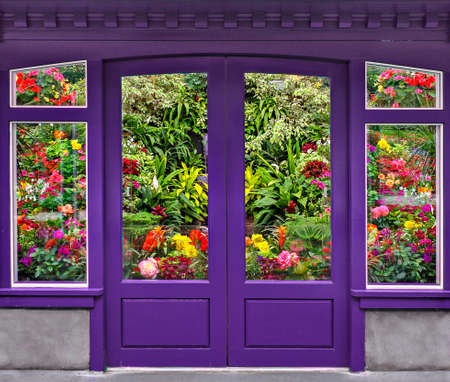 Purple flower shop window and door with colorful flowers, Canadaの写真素材