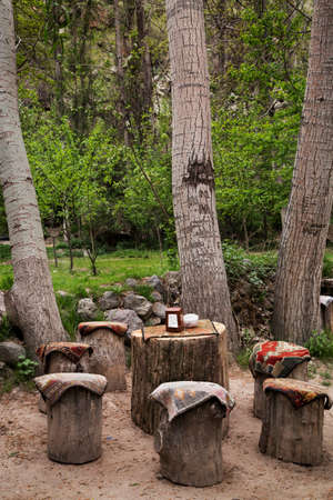 Tree trunks and picnic table, Turkeyの写真素材