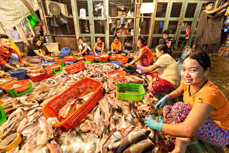 Local women cleaning fish in the fish market, in Yangon, Myanmarのeditorial素材