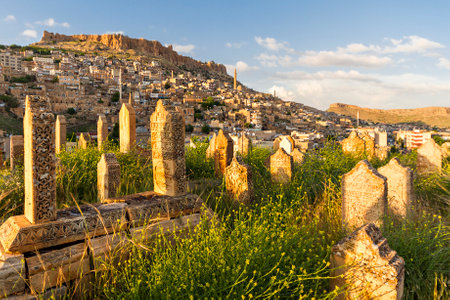 View over the city of Mardin through an old cemetery, Turkey.のeditorial素材