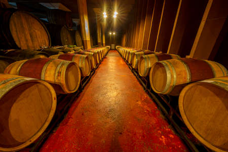 Wine barrels in the cellar in Gjakova, Kosovoの写真素材