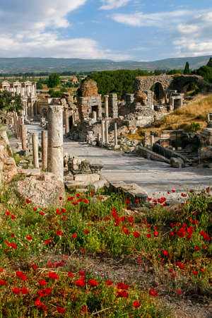 Ruins of the Roman city of Ephesus in the spring with red poppies, Turkeyのeditorial素材