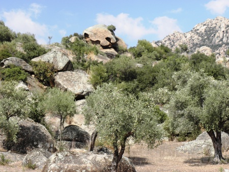 Interesting rock formations around the ancient Euromos.の写真素材