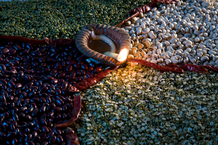 Indian pulses