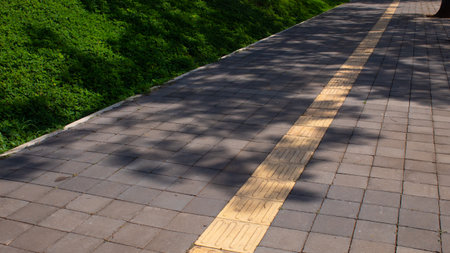 Walkway in the park with shadow of trees on the ground.