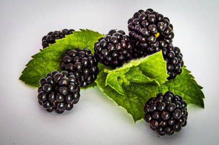 blackberry and mintの写真素材