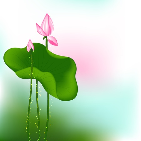 Pink Lotus Flower on Green Backgroundのイラスト素材