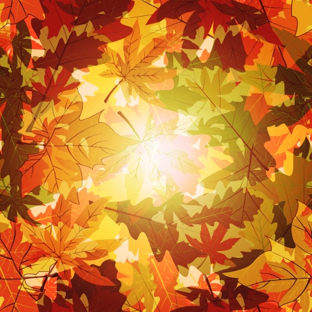 Abstract Autumn Leaf Seamless Backgroundの写真素材