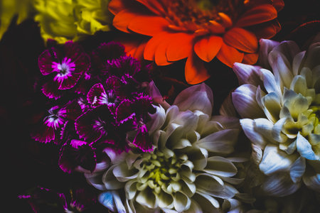Colorful dahlia flowers bouquet close up. Floral backgroundの写真素材