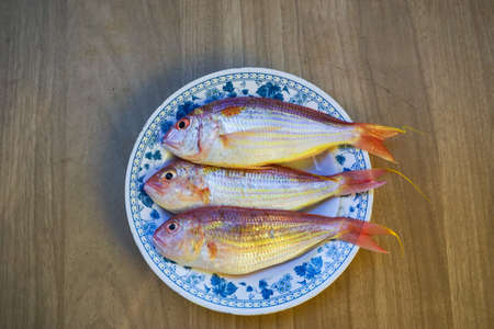 Close up of fish on the plate. Raw fish ready to be cooked. Suitable for cooking concept.