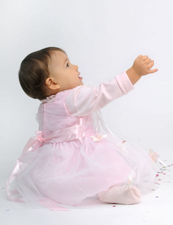 baby pinkの写真素材