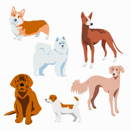 Set of different breeds of dogs. Hand drawn vector illustration. Isolated on white backgroundのイラスト素材