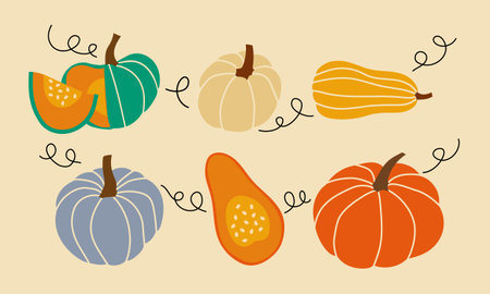 Set of different pumpkins, different colors and shapes with decorative elements. Vector illustration.のイラスト素材