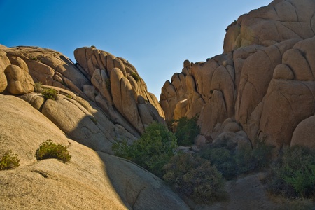 scenic Jumbo rock in Joshua Tree National Parkの写真素材