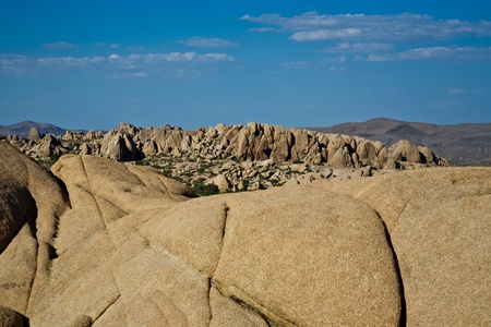 scenic Jumbo rock in Joshua Tree National Parkの写真素材