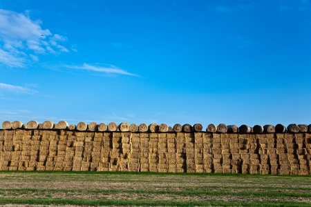 bale of straw in autumn in intensive colorsの写真素材