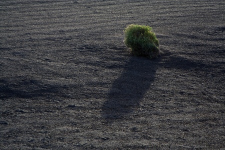 volcanic landscape in national park Timanfaya in Lanzarote, Spainの写真素材