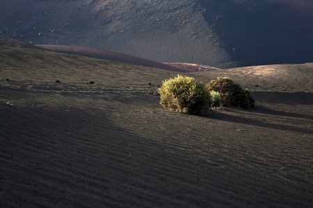 volcanic landscape in national park Timanfaya in Lanzarote, Spainの写真素材