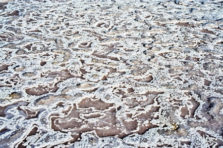 beautiful stone structure at the coast line with dried salt painting an artificial pictureの写真素材
