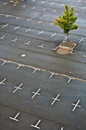 marked parking lot without cars with crossesの写真素材