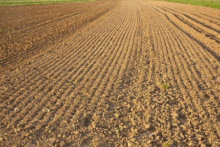 Background of newly plowed fieldの写真素材