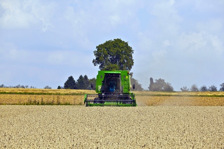 green harvester in corn fieldsの写真素材