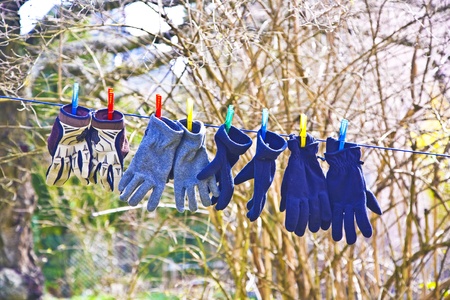 gloves on a line for dryingの写真素材