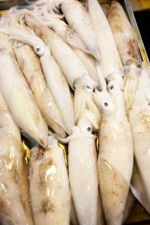 whole fresh fishes, octopusses are offered in the fish market in asiaの写真素材