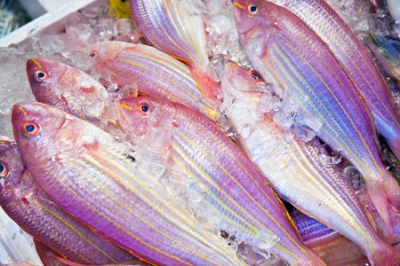 red fish at the fish market on iceの写真素材