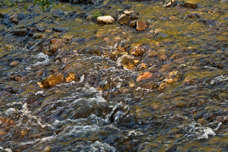 leaves and apples in  water of a small creek