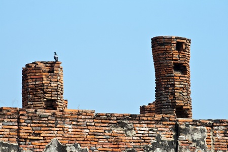 birds nest in  famous temple area Wat Phra Si Sanphet, Royal Palace in Ajutthayaの写真素材