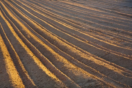Background of newly plowed fieldの写真素材