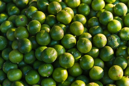 fresh lime fruits at the market in early morningの写真素材
