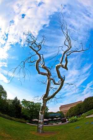 A tree of metal in the National Gallery of Art Sculpture Garden at Washington DC.の写真素材