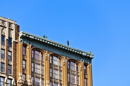 NEW YORK, USA - JULY 7: Facade of Empire State Building in the afternoon with iron statue of Man from atist Antony Gormley on the roof on July 7,2010 in New York, USA.のeditorial素材