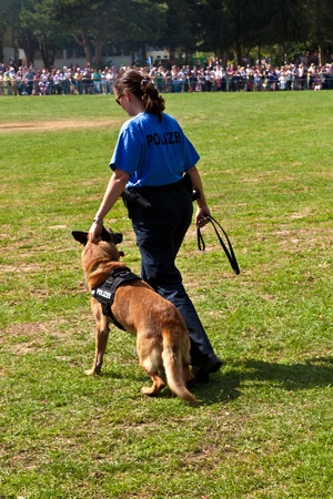 OBERURSEL, GERMANY - June 12: police dogs show their discipline at the Hessentag on June 12, 2011 in Oberursel, Germany. Hessentag is a big festival to present a city in the county of Hesse in Germany.のeditorial素材