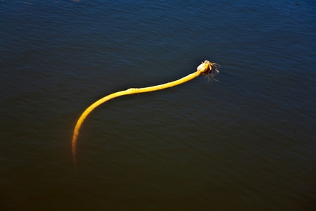 water flower in salt water at the Ocean Beach, San Franciscoの写真素材