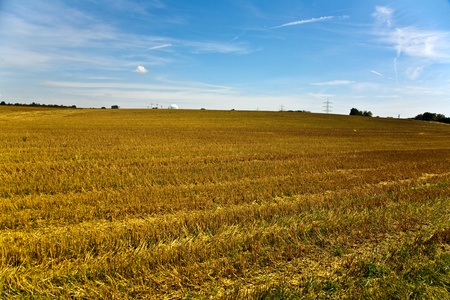 acres after harvest are looking golden in the sun with blue skyの写真素材
