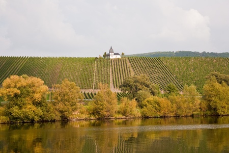 chappel at the vineyard near Trittenheim at the river Moselの写真素材