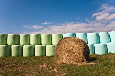 bale of straw infold in plastic film (foil) to keep dry in automn in intensive colorsの写真素材