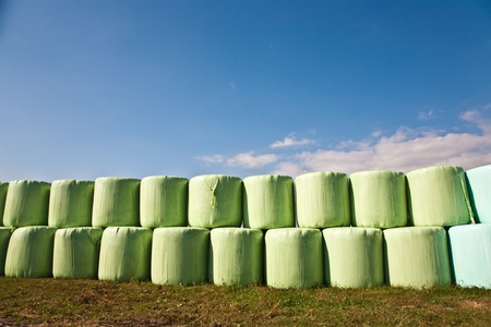 bale of straw infold in plastic film (foil) to keep dry in automn in intensive colorsの写真素材