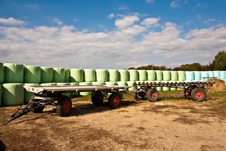 bale of straw infold in plastic film (foil) to keep dry in automn in intensive colorsの写真素材