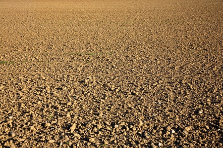 fresh plowghed acres in beautiful lightの写真素材