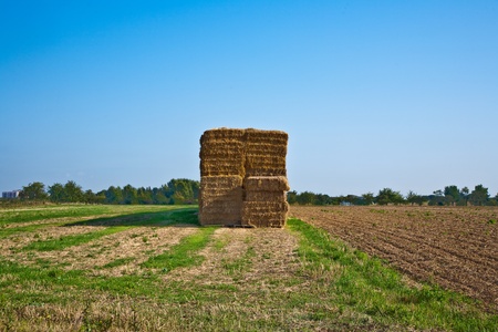 bale of straw in automn in intensive colors