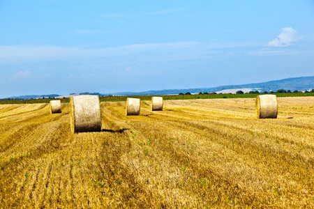 bale of straw on field