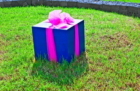 gift packed in a box and lying in the grassの写真素材