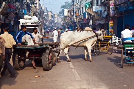 DELHI, INDIA - NOV 9: Ox cart transportation on early morning on November 08,2011 in Delhi, India. The ox chart is a  common cargo  transportation in the narrow streets of old Delhi.のeditorial素材
