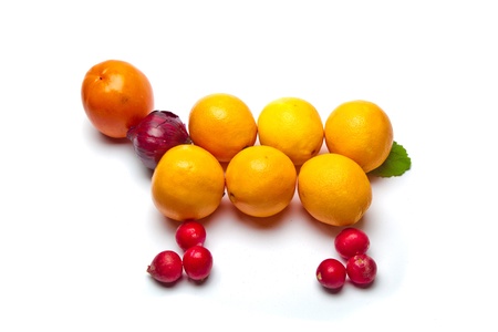 fruits combined as animalの写真素材