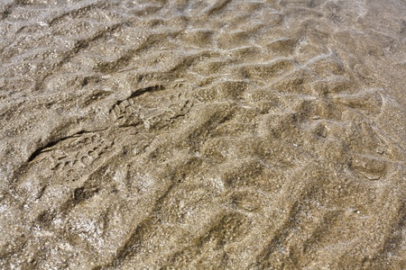 structure of wet sand at the beach